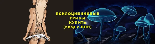 a pvp Корсаков