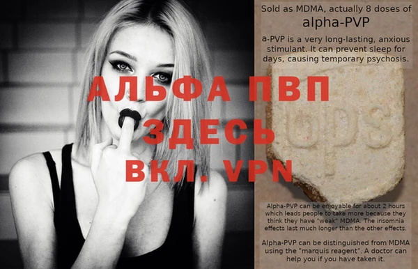 a pvp Корсаков