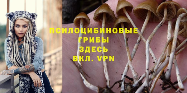 a pvp Корсаков