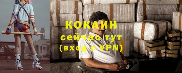 a pvp Корсаков